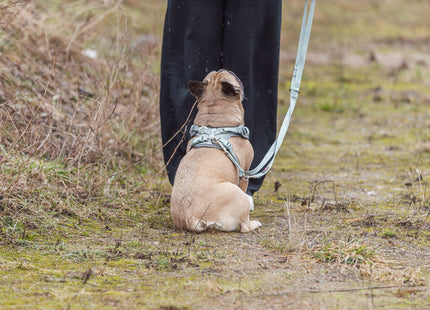 Trixie Premium FlexMesh Geschirr – Salbei, XS-S, breit