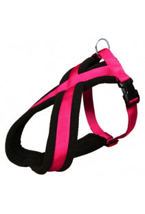 Kupferoranges Premium-Geschirr von Trixie für stilvolle Spaziergänge