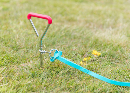 Anlegepflock für Hunde von Trixie, 40 cm Durchmesser, 9 mm stark