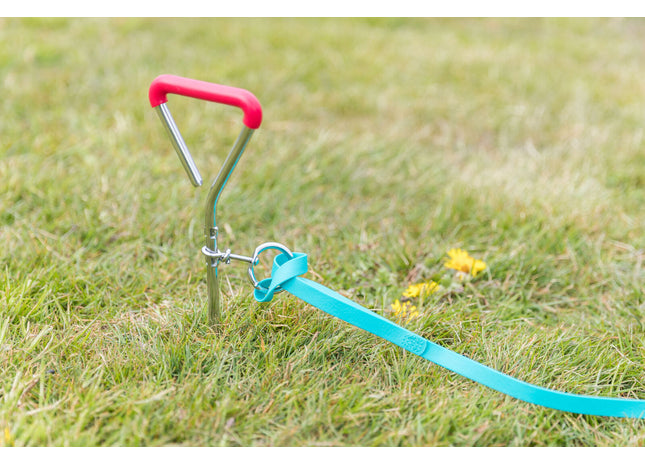 Anlegepflock für Hunde von Trixie, 40 cm Durchmesser, 9 mm stark