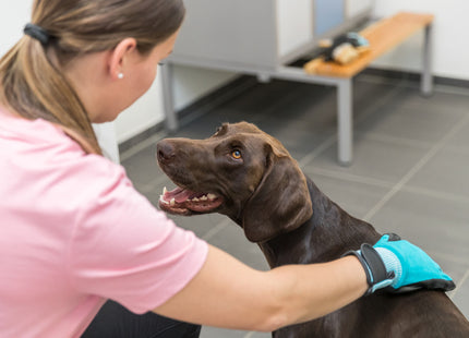 Trixie Fellpflege-Handschuhe aus Nylon und Gummi für Haustiere, 1 Paar