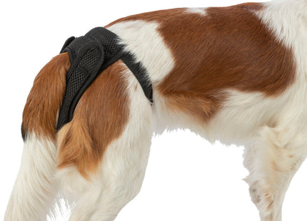 Schwarzes Schutzhöschen aus bequemem Mesh-Material von Trixie