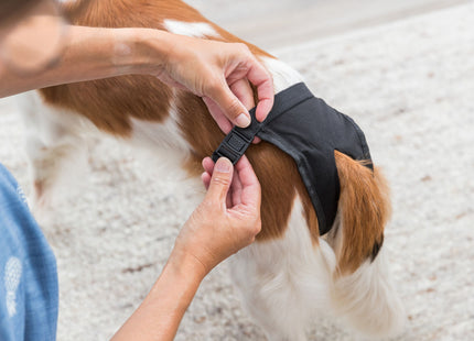 Schwarzes Deluxe-Schutzhöschen von Trixie für Hunde