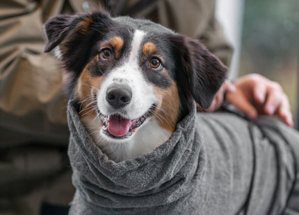 Frottee-Bademantel in Grau für Hunde von Trixie - nach dem Baden kuschelig trocken bleiben