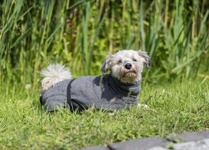 Frottee-Bademantel in Grau für Hunde von Trixie - nach dem Baden kuschelig trocken bleiben