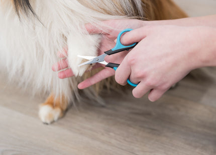 Trixie Gesichts- und Pfotenschere 9.5 cm