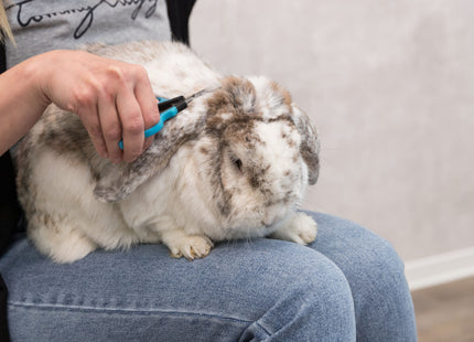 Trixie Gesichts- und Pfotenschere 9.5 cm