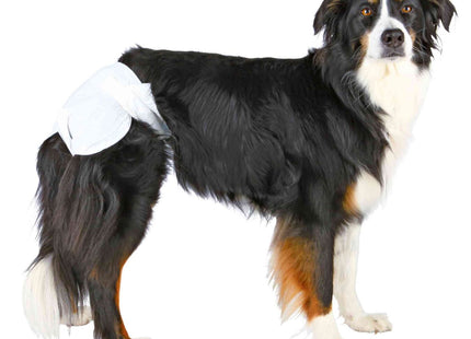 Trixie Windeln für Hündinnen 12 Stück - Hochwertige Hundewindeln für Weibchen, ideal für die Sauberkeitstraining und Inkontinenz, 12 Stück pro Packung
