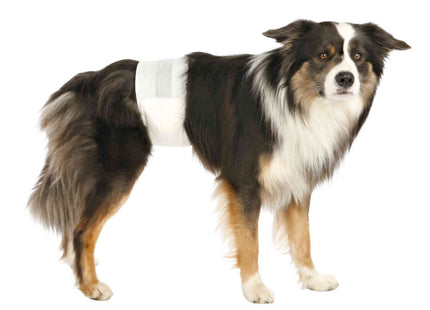 Trixie Rüdenwindeln 12 Stück - Hochwertige Hundewindeln für Rüden, saugfähig und bequem