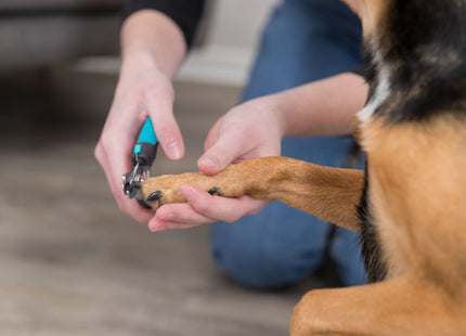 Trixie Krallenschere de Luxe für Haustiere