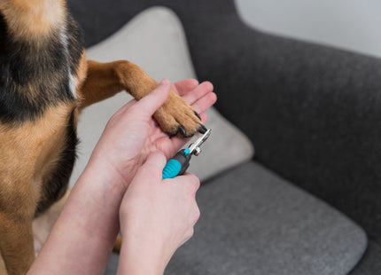 Trixie Krallenschere de Luxe für Haustiere