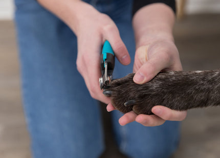 Trixie Krallenschere de Luxe für Haustiere