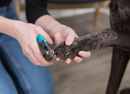 Trixie Krallenschere de Luxe für Haustiere