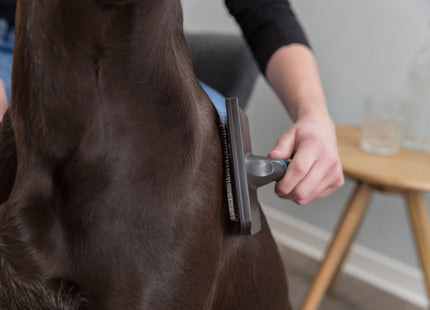 Trixie Softbürste aus Kunststoff