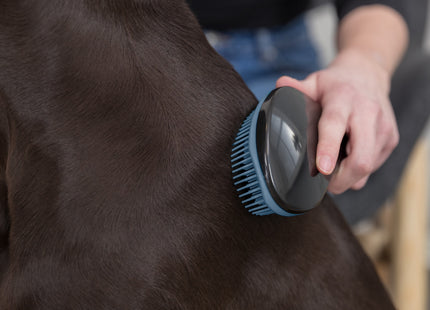 Trixie Softbürste 19 cm - Hochwertige Bürste für schonendes und effektives Entwirren von Tierfell
