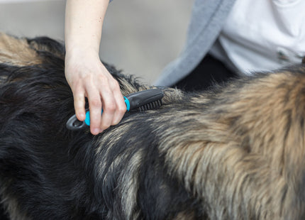 Trixie Fell-Entfilzer mit gebogenen Zinken