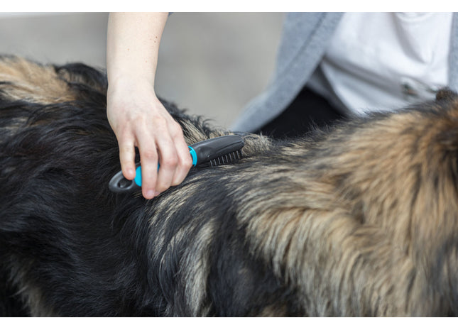Trixie Fell-Entfilzer mit gebogenen Zinken