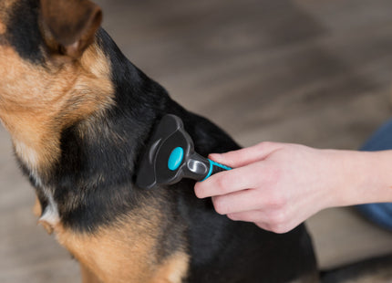 Trixie Carding-Striegel - Hochwertiger Striegel für die Fellpflege von Haustieren