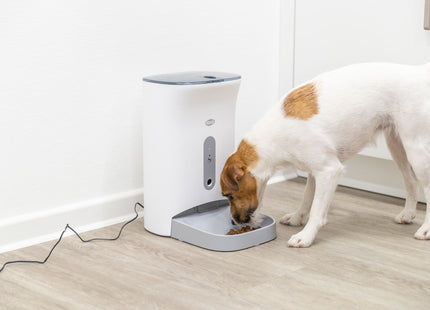 Automatischer Futterautomat für Haustiere in Weissgrau, smart und praktisch