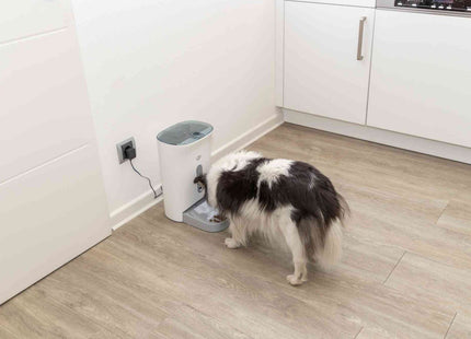 Automatischer Futterautomat für Haustiere in Weissgrau, smart und praktisch