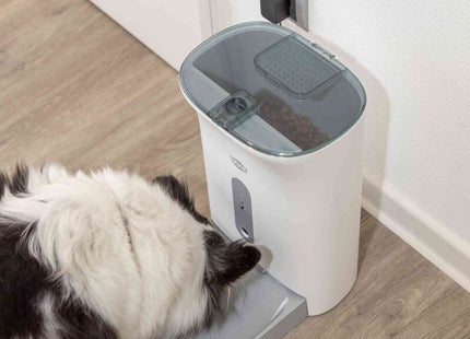 Automatischer Futterautomat für Haustiere in Weissgrau, smart und praktisch