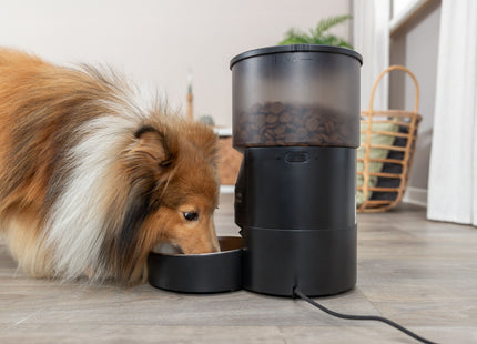 Automatischer Futterautomat für Haustiere in elegantem Schwarz