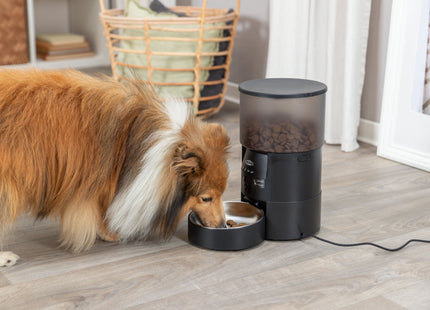 Automatischer Futterautomat für Haustiere in elegantem Schwarz