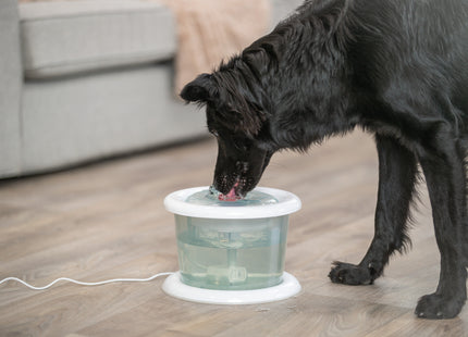 Trinkbrunnen für Katzen mit Blasenstrahl, 3L, blau-weiss