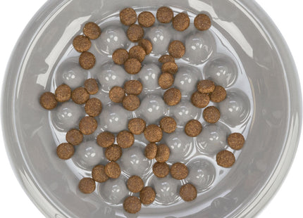 Trixie Napf Slow Feed Keramik 18 cm Durchmesser