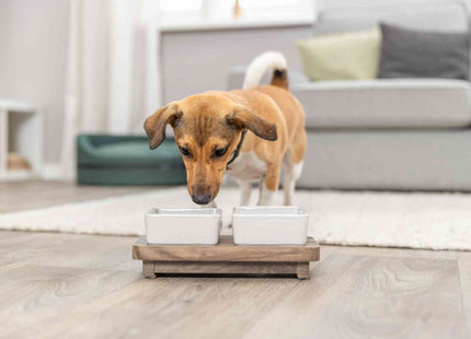 Trixie Napf-Set CityStyle aus Keramik und MDF