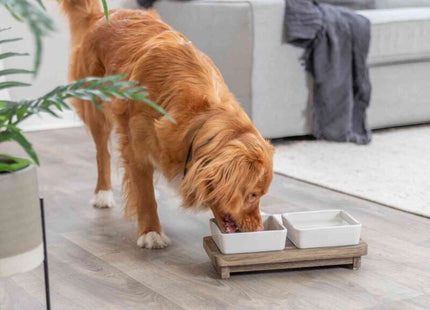 Trixie Napf-Set CityStyle aus Keramik und MDF