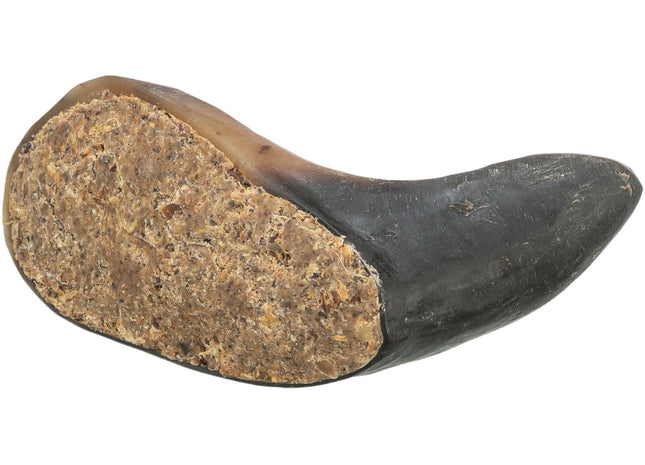 Trixie Büffelhorn gefüllt mit Büffelziemer und -Sehne