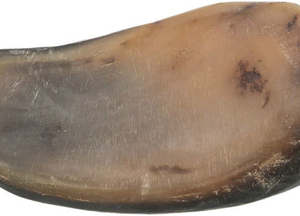 Trixie Büffelhorn gefüllt mit Büffelziemer und -Sehne