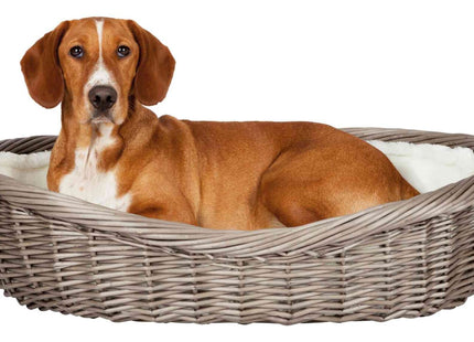 Gemütlicher Weidenkorb in Grau mit Kissen für dein Haustier