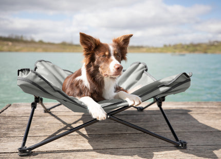 Bequemes Campingbett für Hunde in Dunkelgrau-Petrol