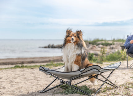 Bequemes Campingbett für Hunde in Dunkelgrau-Petrol