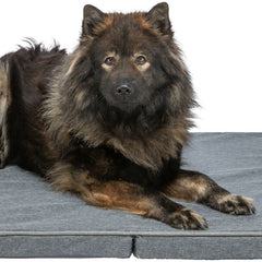 Trixie Matratze Samoa Vital – faltbare Hundematratze dunkelgrau