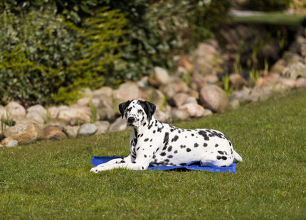 Kühlmatte in Blau für Haustiere von Trixie - ideal für heisse Tage!