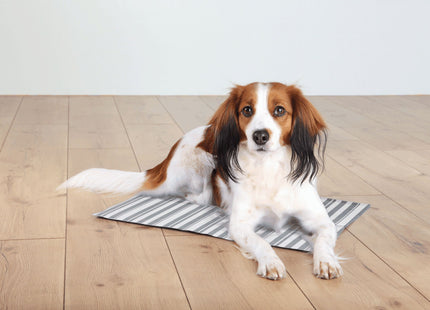 Kühlmatte in Weissgrau für Haustiere von Trixie - Erfrischung an heissen Tagen