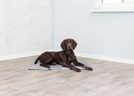 Kühlmatte für Haustiere in Soft Grau - Entspannung und Kühlung für dein Haustier