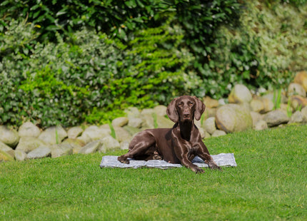 Kühlmatte für Haustiere in Soft Grau - Entspannung und Kühlung für dein Haustier