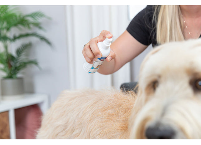 Trixie Entfilzungsspray 175 ml zur sanften Entwirrung von Tierfell