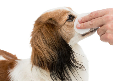 Trixie Pflege-Pads Augenumgebung 100 Stk