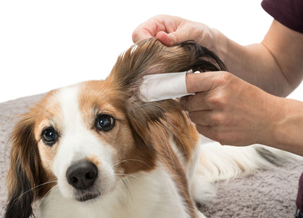 Trixie Pflege-Fingerlinge Ohren 50 Stk