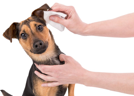 Trixie Pflegetücher Ohren 30 Stk