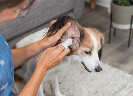 Trixie Pflegetücher Ohren 30 Stk