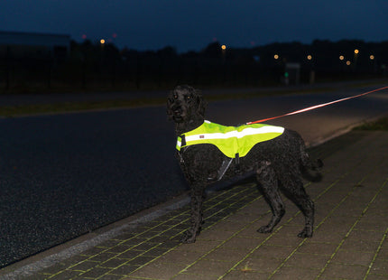 Sicherheitsweste für Hunde in leuchtendem Gelb