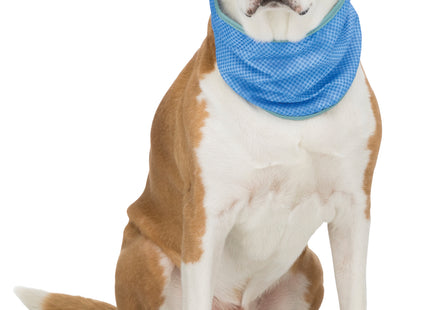 Trixie Kühlbandana PVA - Effektive Kühlung für Haustiere im Sommer
