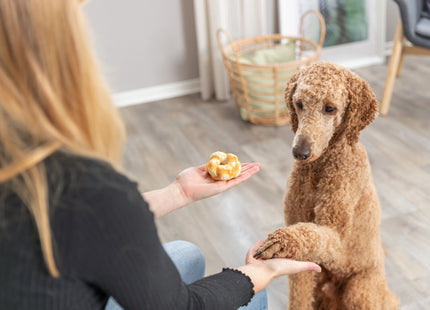 Trixie Denta Fun Twists Kollagen Huhn 2 Stk 85 g