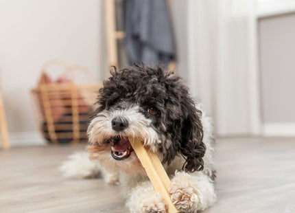 Trixie Kaukäse Snacks 12 Stück 75 g 13.5 cm